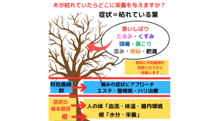 口腔内トラブル専門家 たるみ･小顔サロンNicoのサブ写真２